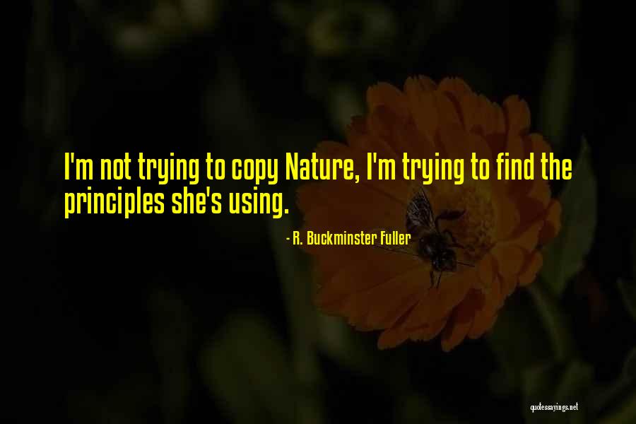 Buckminster Quotes By R. Buckminster Fuller