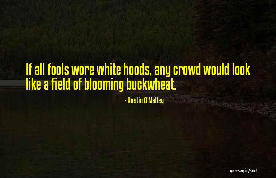 Buckwheat Quotes By Austin O'Malley