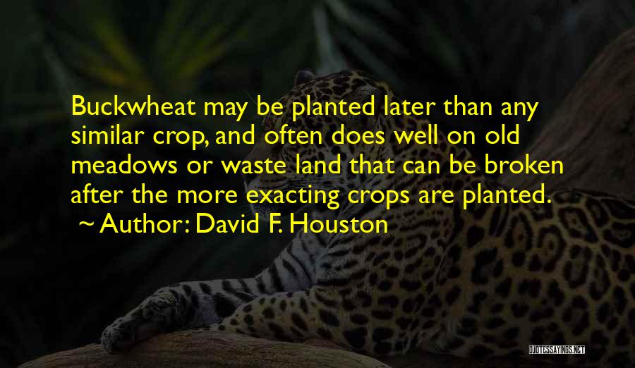 Buckwheat Quotes By David F. Houston