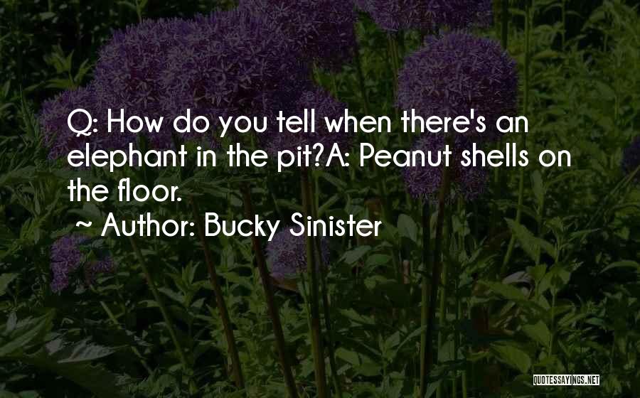 Bucky Sinister Quotes 1473128