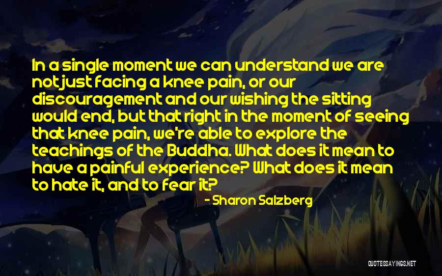 Bucurii Quotes By Sharon Salzberg Bucurii Quotes By Sharon Salzberg