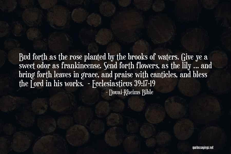 Bud K Quotes By Douai-Rheims Bible Bud K Quotes By Douai-Rheims Bible
