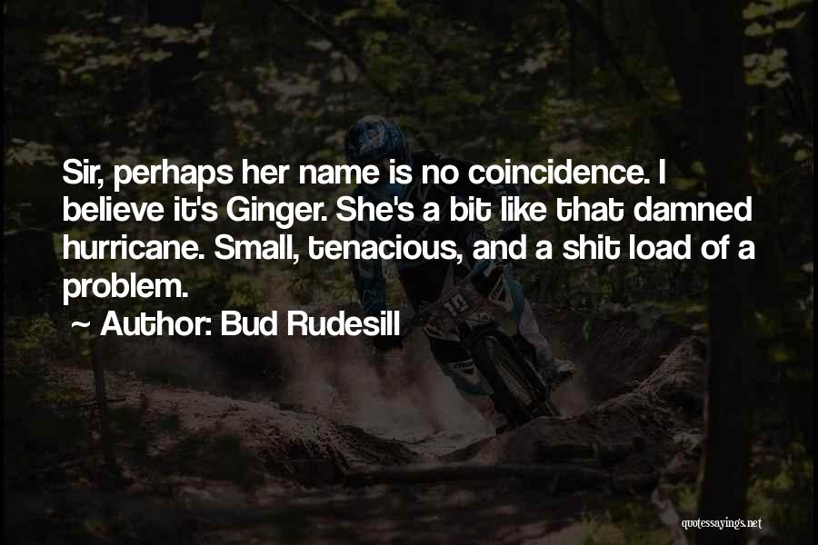 Bud Rudesill Quotes 655045
