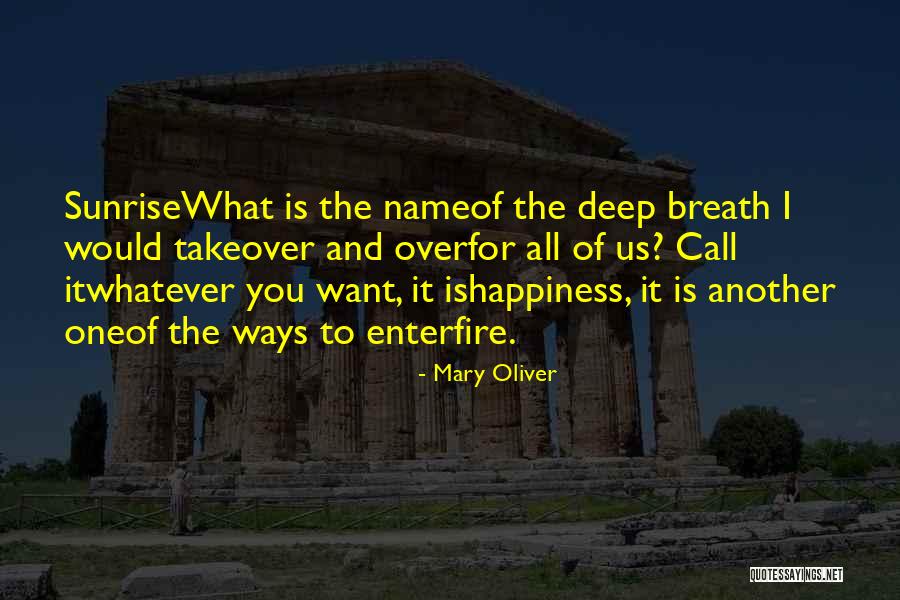 Budala Dedektif Quotes By Mary Oliver Budala Dedektif Quotes By Mary Oliver