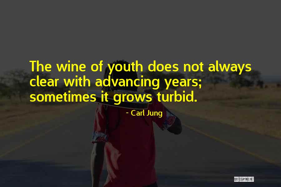 Budalich Quotes By Carl Jung Budalich Quotes By Carl Jung