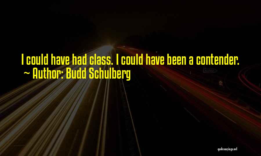 Budd Schulberg Quotes 365624