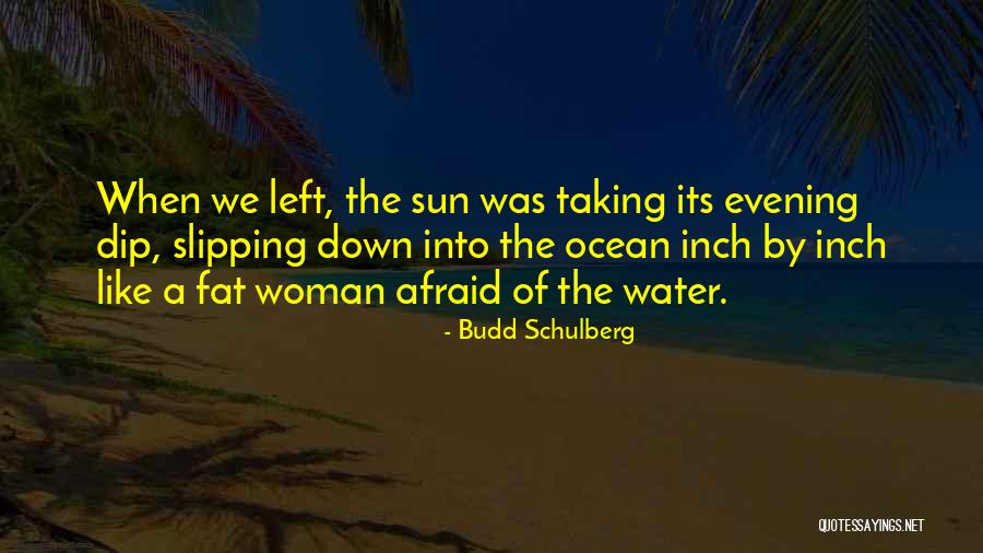 Budd Schulberg Quotes 370148