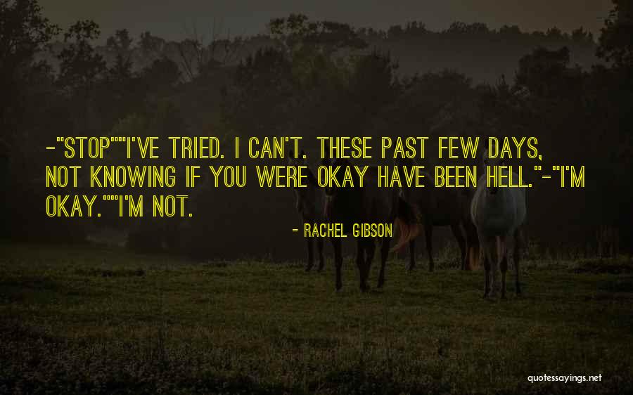 Buddeez Quotes By Rachel Gibson Buddeez Quotes By Rachel Gibson