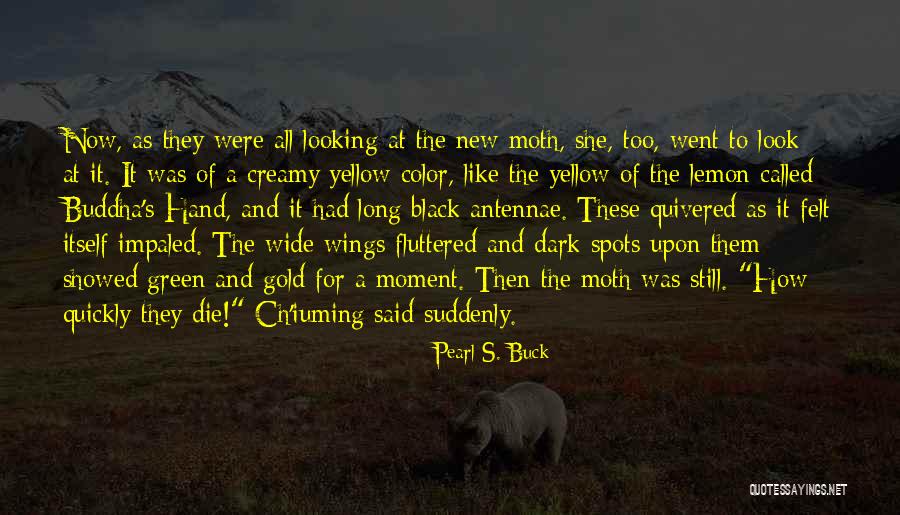 Buddha All Quotes By Pearl S. Buck Buddha All Quotes By Pearl S. Buck