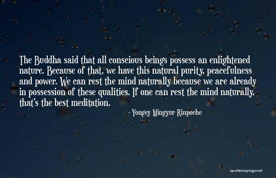 Buddha Buddha Quotes By Yongey Mingyur Rinpoche Buddha Buddha Quotes By Yongey Mingyur Rinpoche