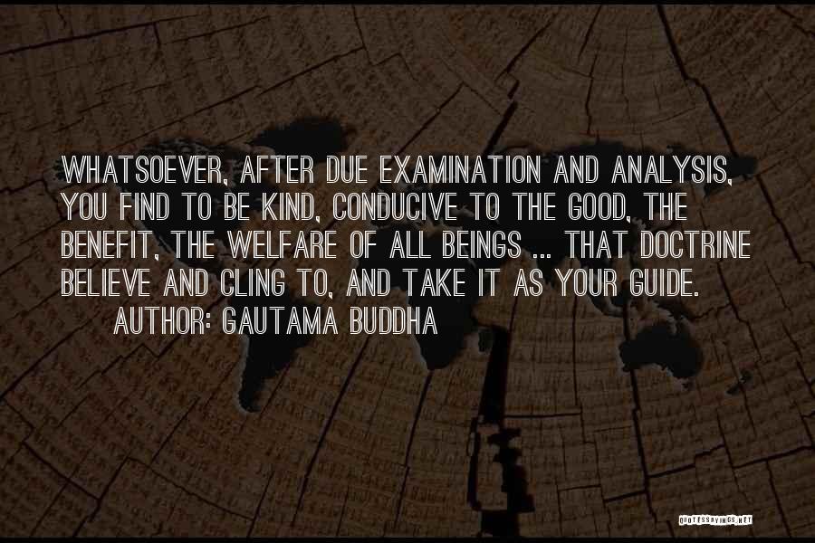 Buddha Kind Quotes By Gautama Buddha