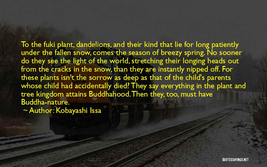Buddha Kind Quotes By Kobayashi Issa