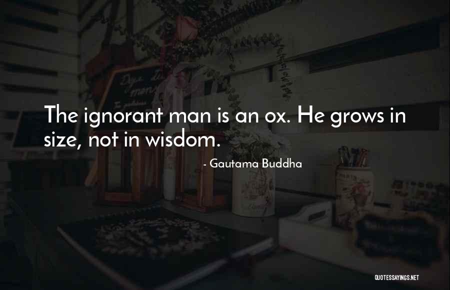 Buddha Man Quotes By Gautama Buddha Buddha Man Quotes By Gautama Buddha