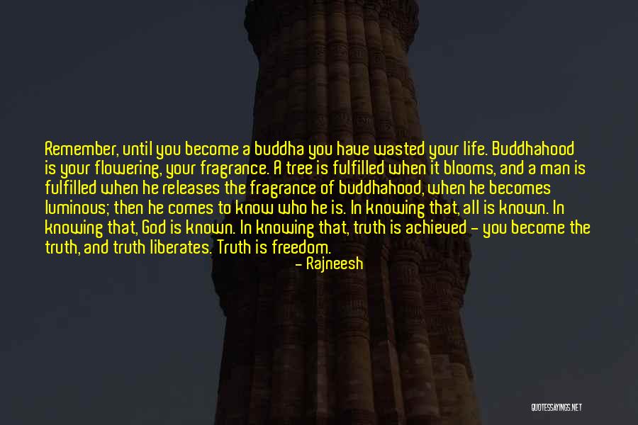 Buddha Man Quotes By Rajneesh Buddha Man Quotes By Rajneesh
