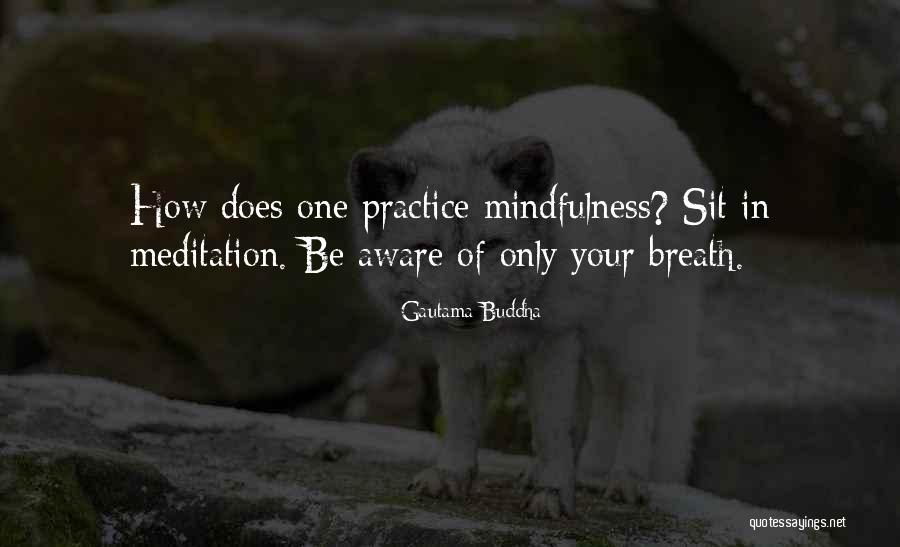 Buddha Meditation Quotes By Gautama Buddha Buddha Meditation Quotes By Gautama Buddha