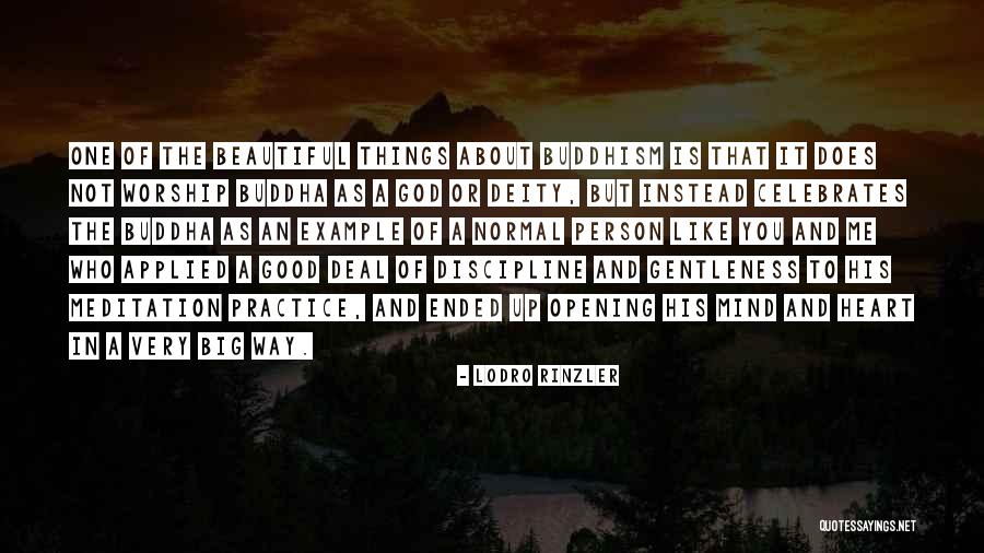 Buddha Meditation Quotes By Lodro Rinzler Buddha Meditation Quotes By Lodro Rinzler