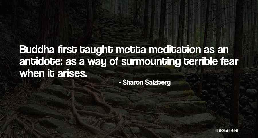 Buddha Meditation Quotes By Sharon Salzberg Buddha Meditation Quotes By Sharon Salzberg