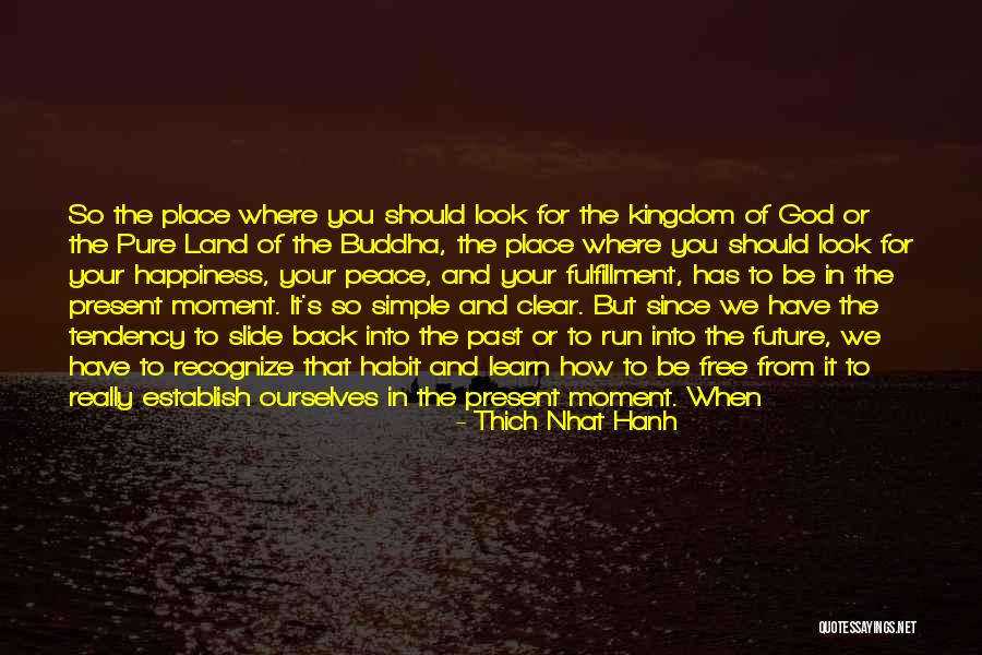 Buddha Past Quotes By Thich Nhat Hanh Buddha Past Quotes By Thich Nhat Hanh