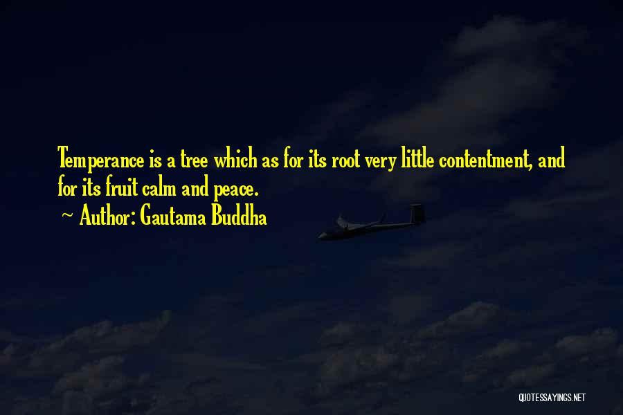 Buddha Peace Quotes By Gautama Buddha