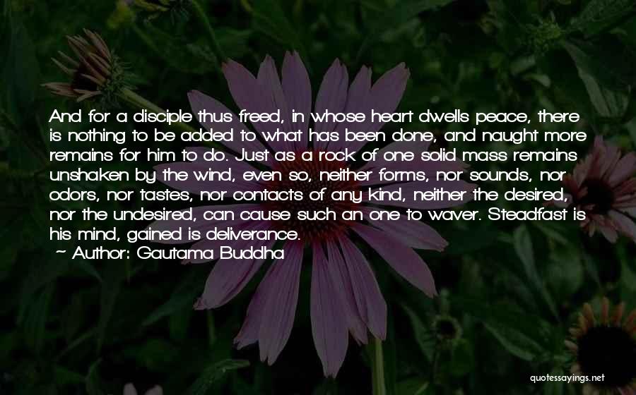 Buddha Peace Quotes By Gautama Buddha