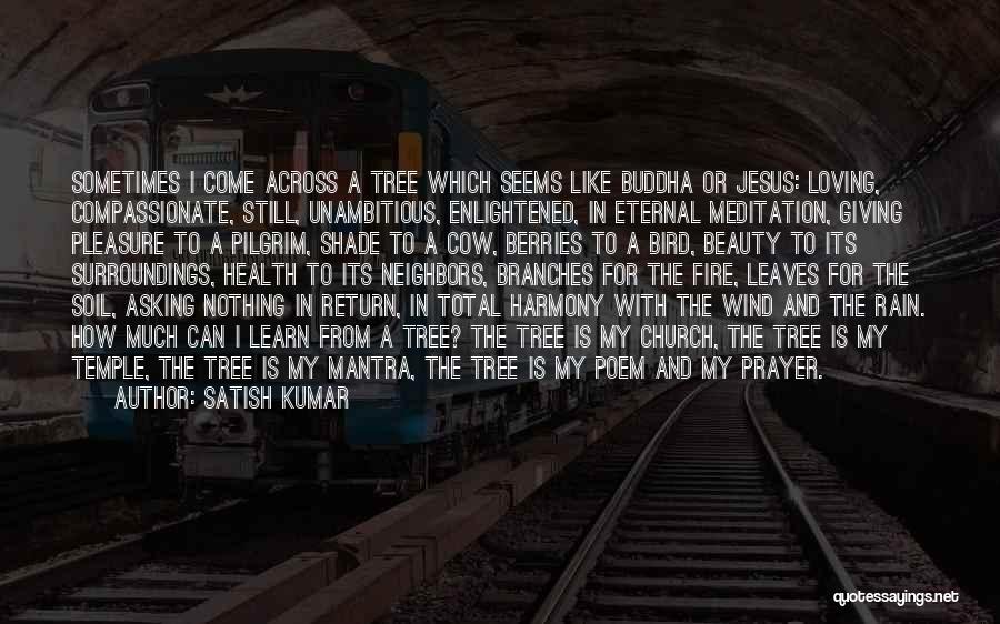 Buddha Prayer Quotes By Satish Kumar