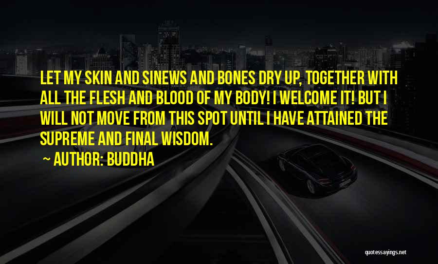 Buddha Quotes 1316515