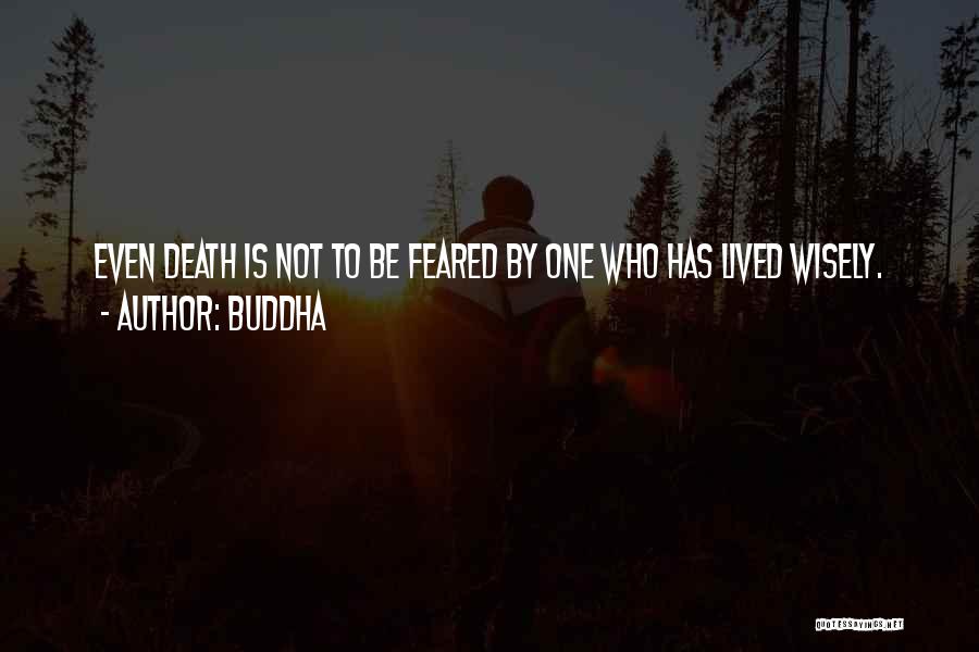 Buddha Quotes 1465914