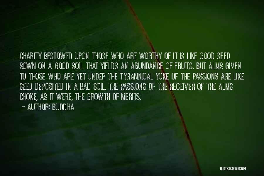 Buddha Quotes 2001376