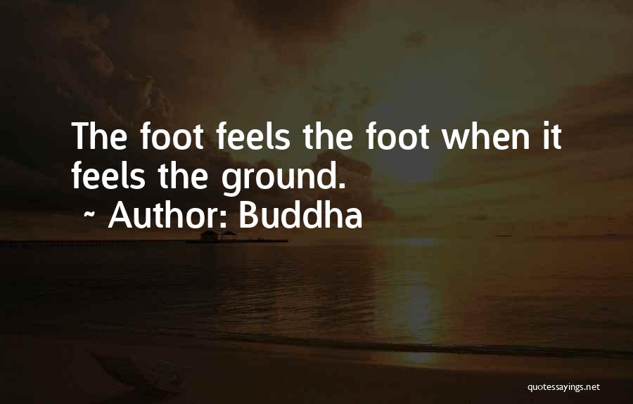 Buddha Quotes 256402