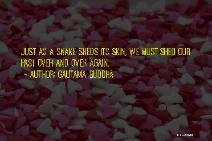 Buddha Reflection Quotes By Gautama Buddha