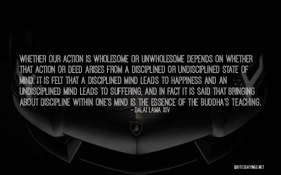 Buddha Suffering Quotes By Dalai Lama XIV Buddha Suffering Quotes By Dalai Lama XIV
