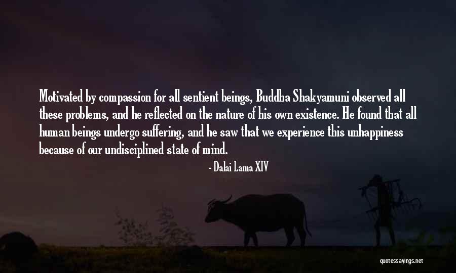 Buddha Suffering Quotes By Dalai Lama XIV Buddha Suffering Quotes By Dalai Lama XIV