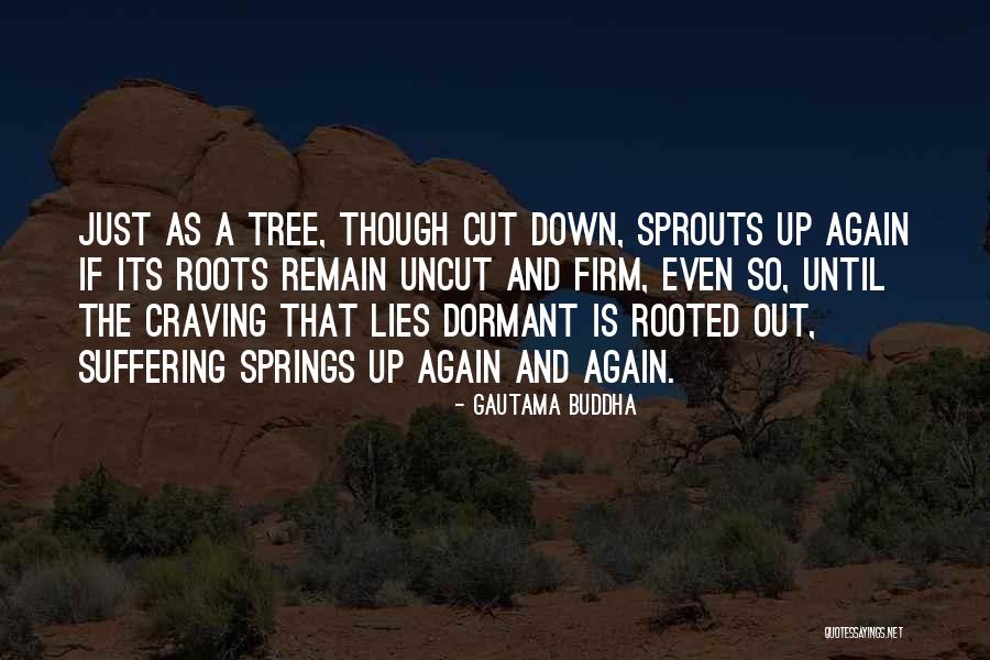 Buddha Suffering Quotes By Gautama Buddha Buddha Suffering Quotes By Gautama Buddha