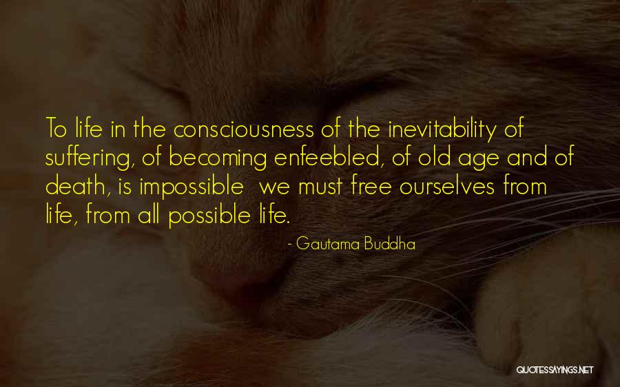 Buddha Suffering Quotes By Gautama Buddha Buddha Suffering Quotes By Gautama Buddha
