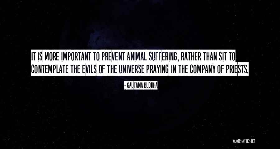 Buddha Suffering Quotes By Gautama Buddha Buddha Suffering Quotes By Gautama Buddha