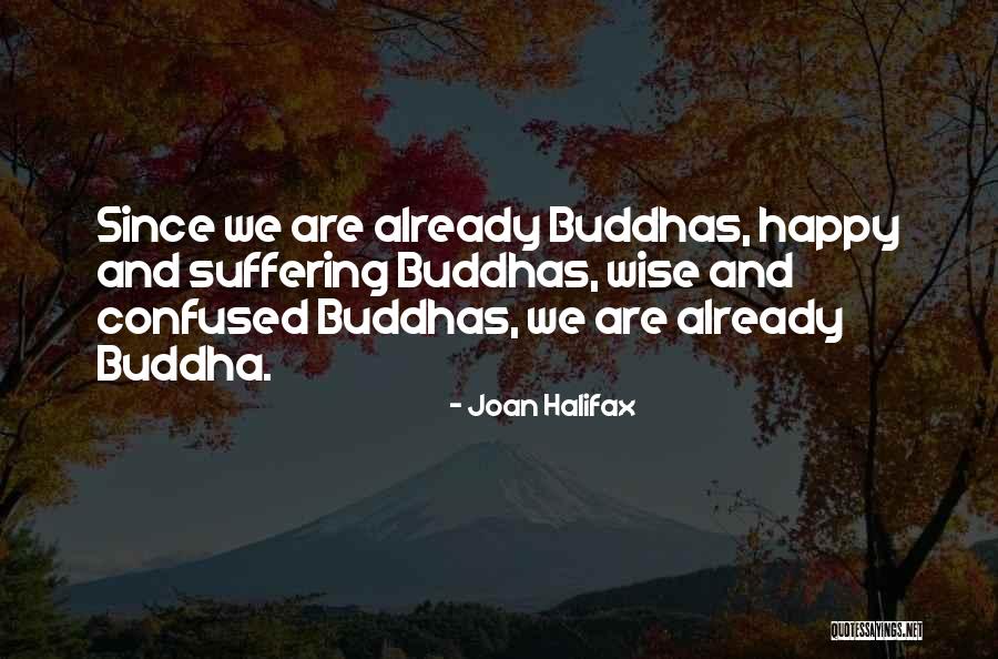 Buddha Suffering Quotes By Joan Halifax Buddha Suffering Quotes By Joan Halifax
