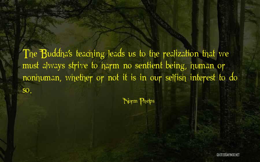 Buddha Teaching Quotes By Norm Phelps Buddha Teaching Quotes By Norm Phelps