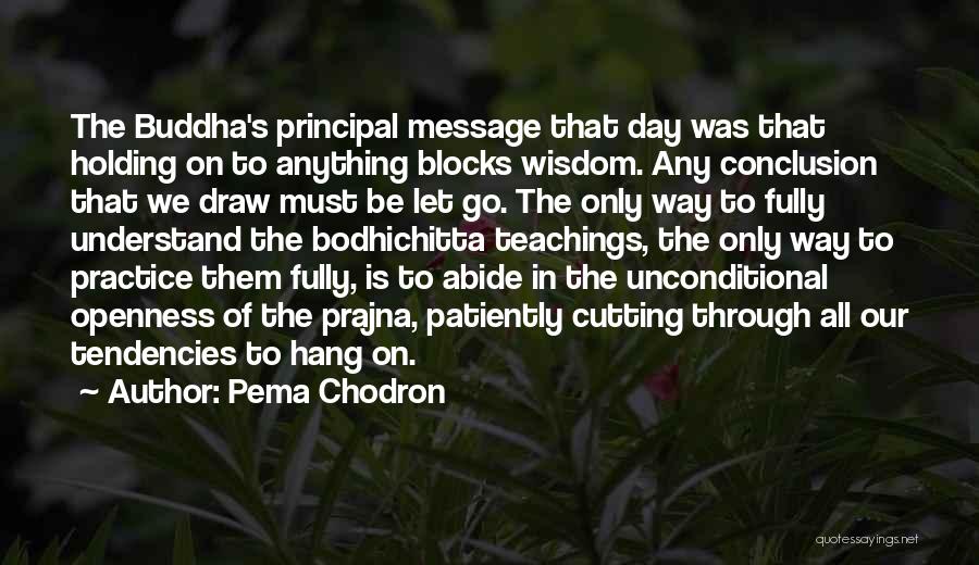 Buddha Teachings Quotes By Pema Chodron