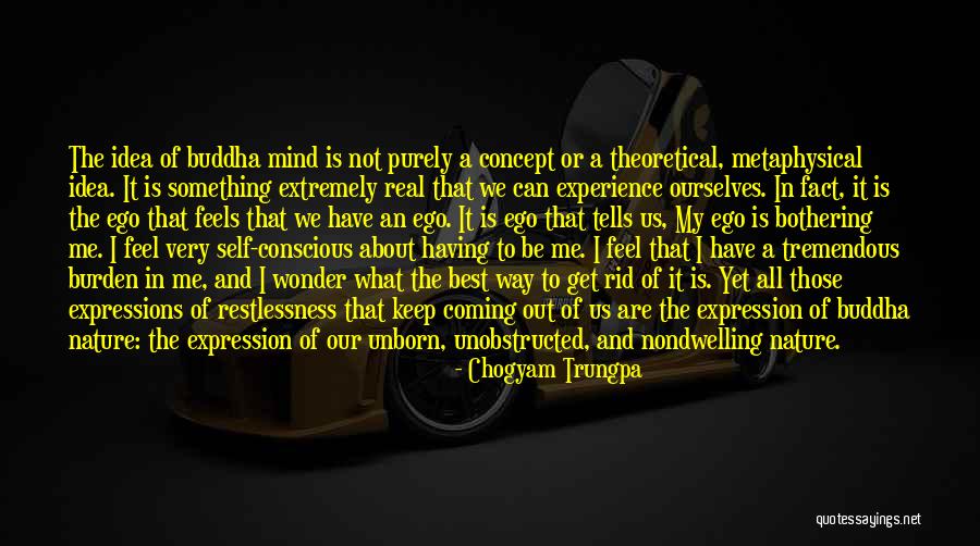 Buddha Way Quotes By Chogyam Trungpa Buddha Way Quotes By Chogyam Trungpa