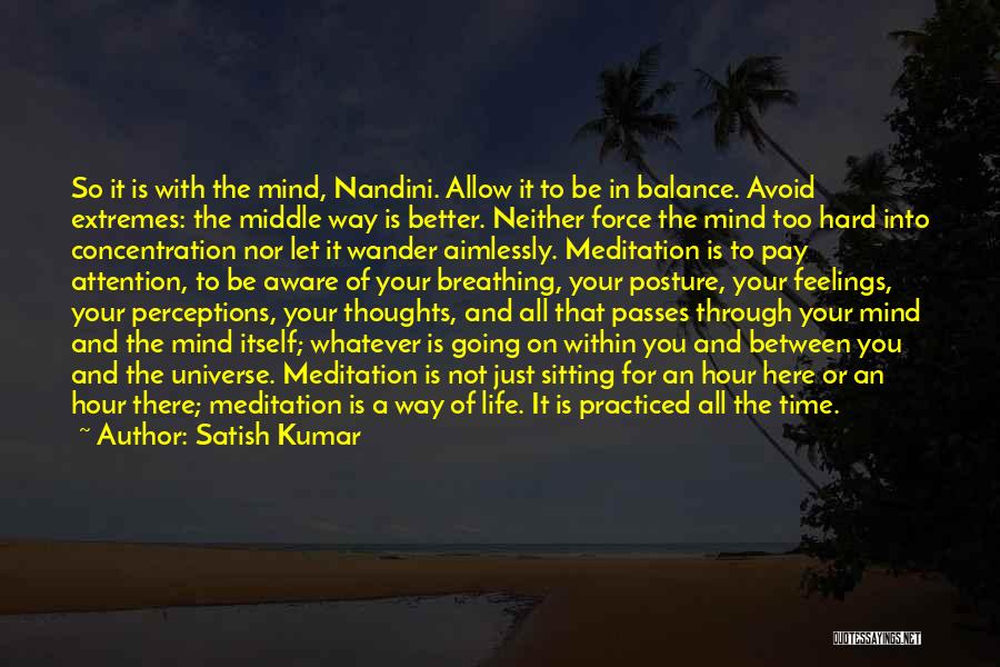 Buddha Way Quotes By Satish Kumar