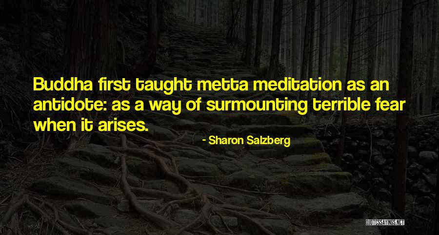 Buddha Way Quotes By Sharon Salzberg Buddha Way Quotes By Sharon Salzberg