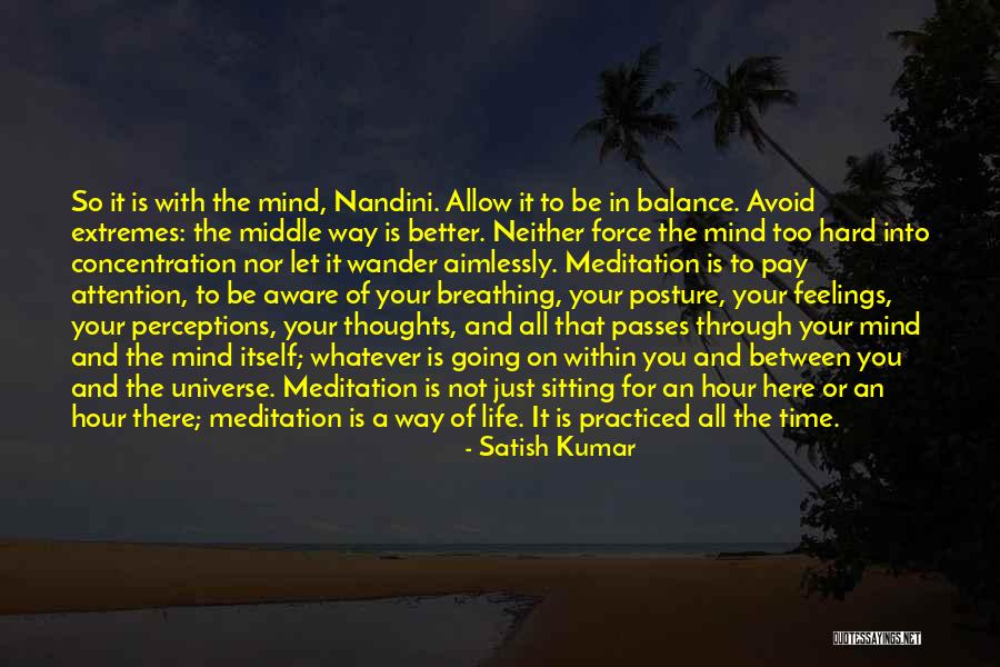 Buddha Whatever Quotes By Satish Kumar