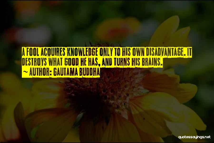 Buddha's Brain Quotes By Gautama Buddha
