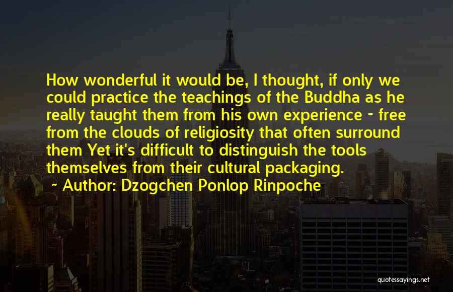 Buddha's Teaching Quotes By Dzogchen Ponlop Rinpoche