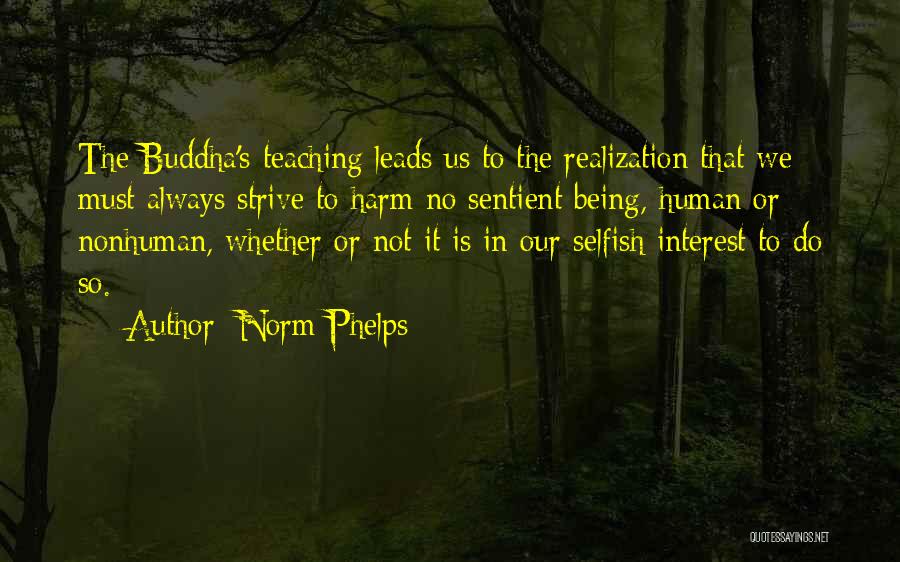 Buddha's Teaching Quotes By Norm Phelps