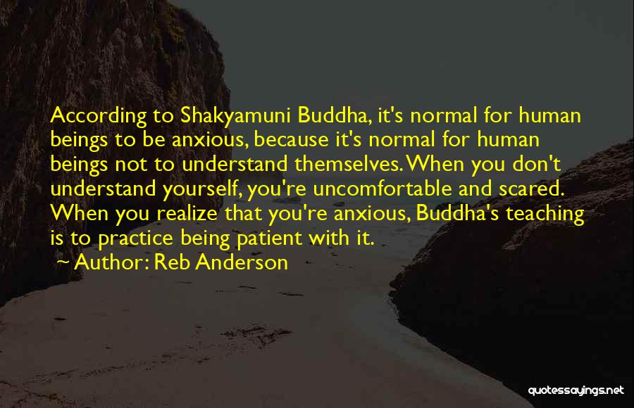 Buddha's Teaching Quotes By Reb Anderson