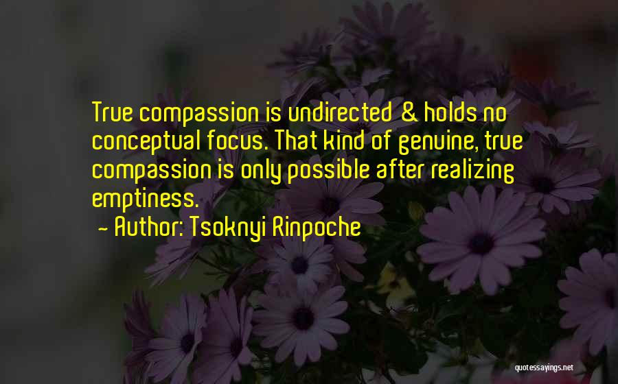 Buddhism Emptiness Quotes By Tsoknyi Rinpoche