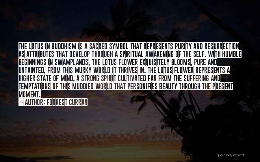 Buddhism Suffering Quotes By Forrest Curran
