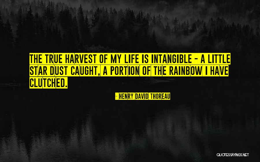 Buddhism Vegetarianism Quotes By Henry David Thoreau Buddhism Vegetarianism Quotes By Henry David Thoreau