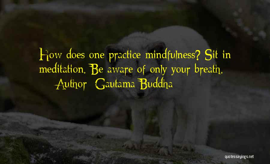 Buddhist Meditation Quotes By Gautama Buddha